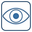 Vision Icon
